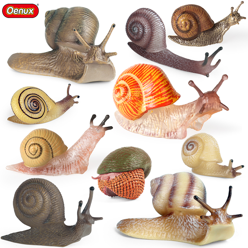 Kids Education Picture - Oenux Wild Insect Animals Snails Growth