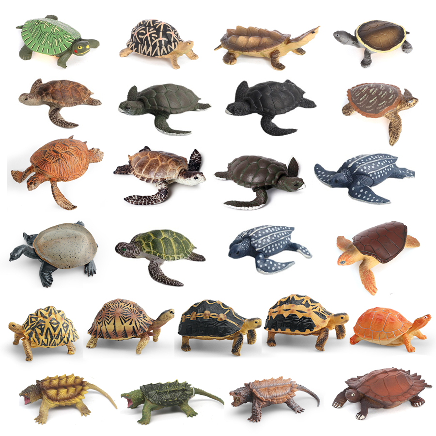 Kids Education Picture - Simulation Chinese Softshell Leatherback Sea Turtle
