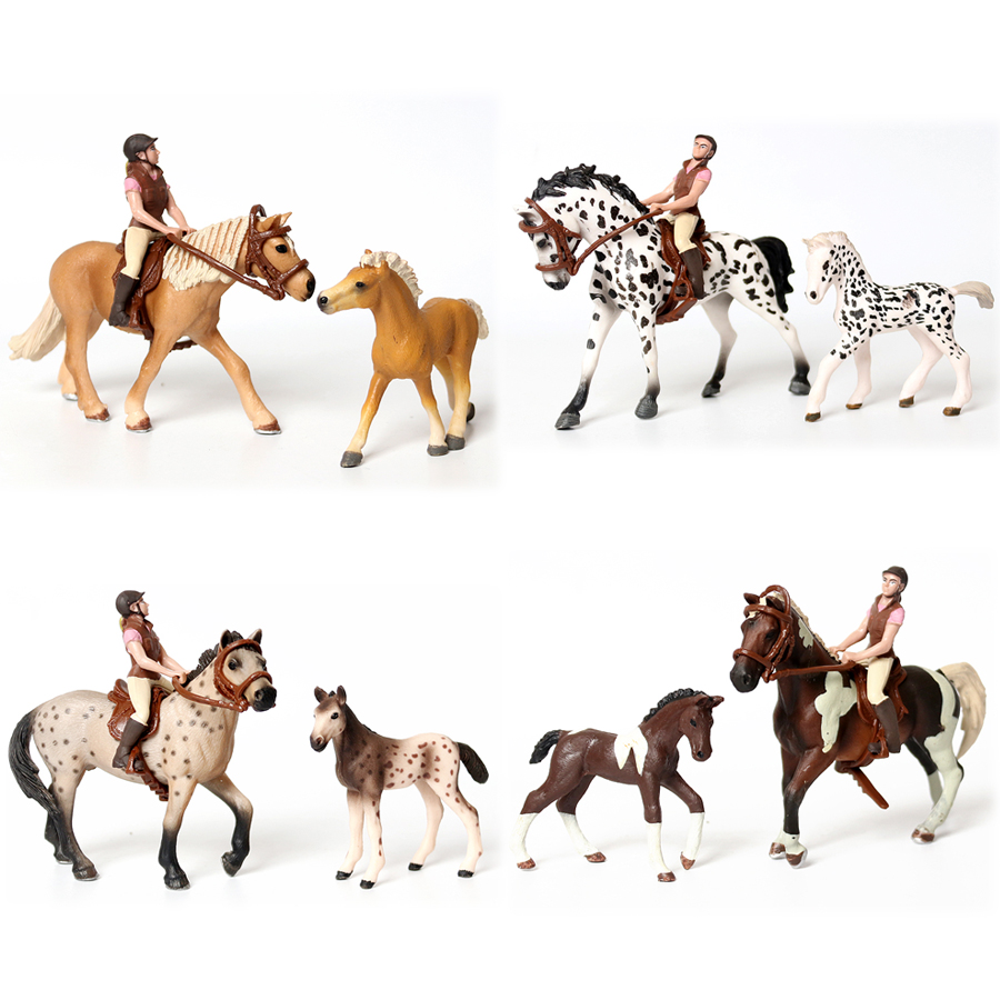 Kids Education Picture - Realistic Trakehner Knabstrupper Haflinger Horse Rider