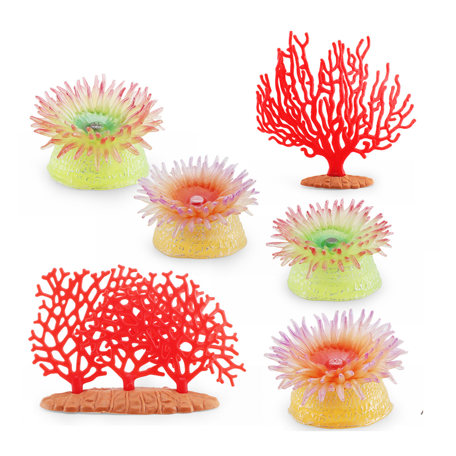 Realistic Coral Sea Anemones S – Kids Education Picture Bewertung und Preis