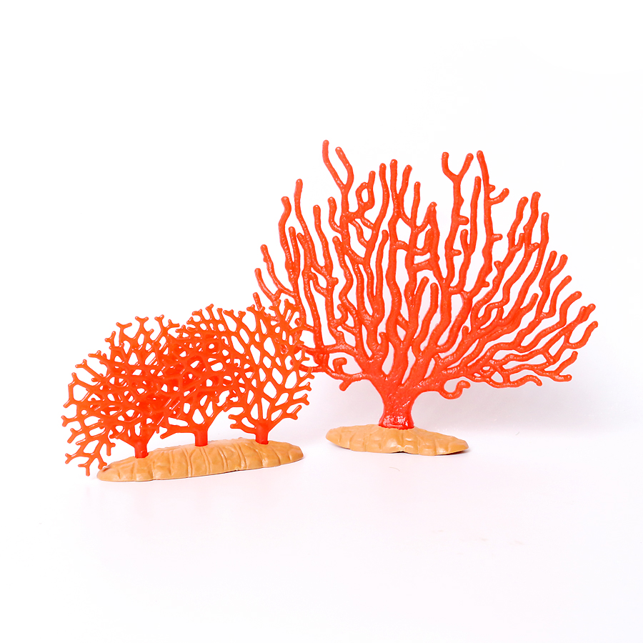 Realistic Coral Sea Anemones S – Kids Education Picture Bewertung und Preis