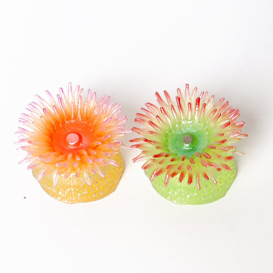 Realistic Coral Sea Anemones S – Kids Education Picture Bewertung und Preis
