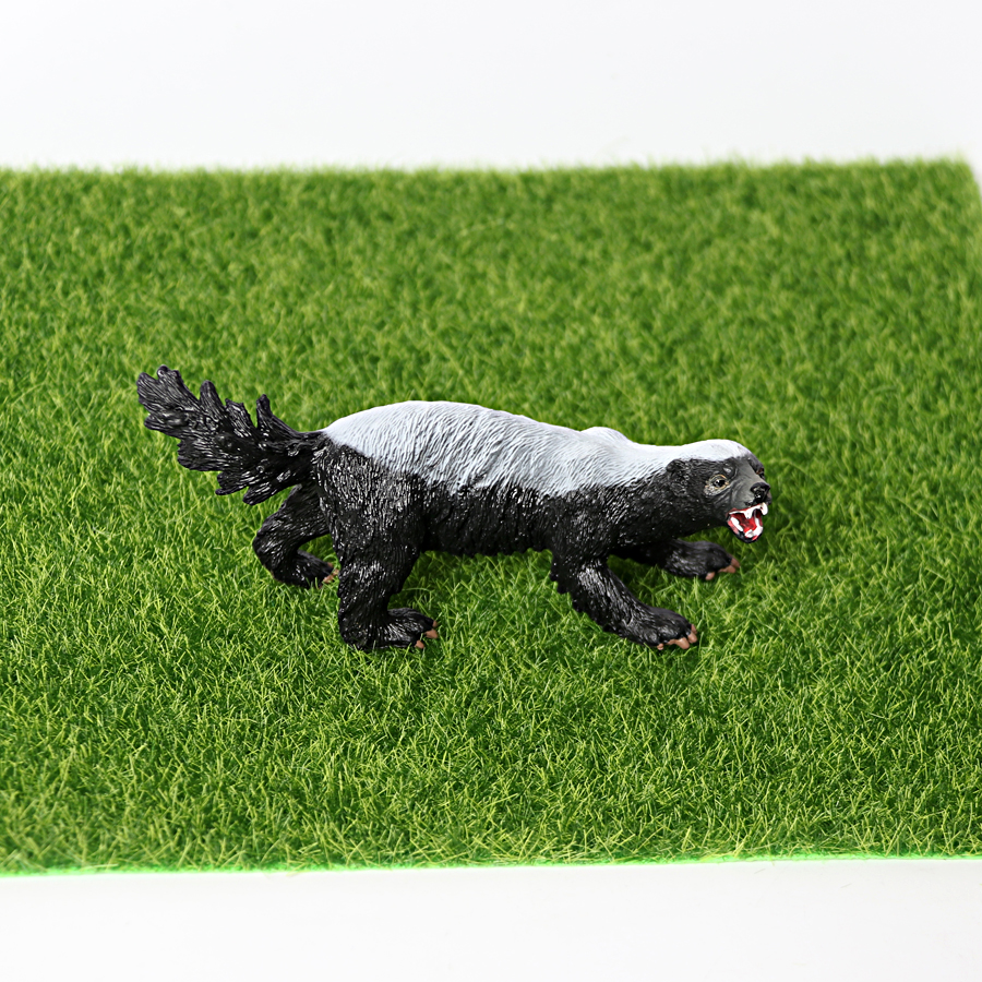 Realistic Honey Badger Model S – Kids Education Picture Bewertung und Preis