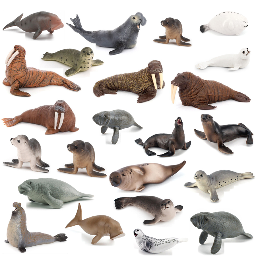 Realistic Dugong Manatee Walru – Kids Education Picture Bewertung und Preis