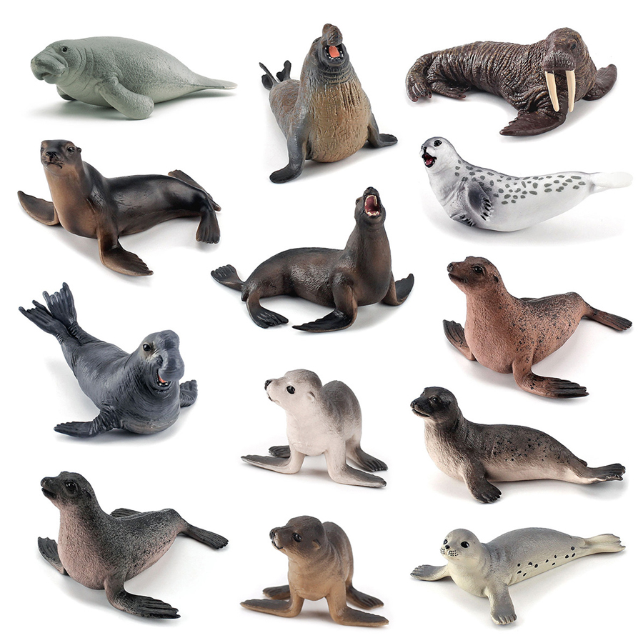 Realistic Dugong Manatee Walru – Kids Education Picture Bewertung und Preis
