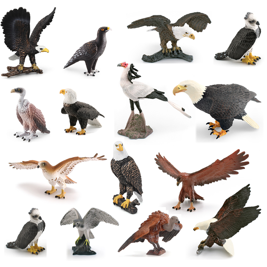 Realistic Wildlife Animal Bird – Kids Education Picture Bewertung und Preis