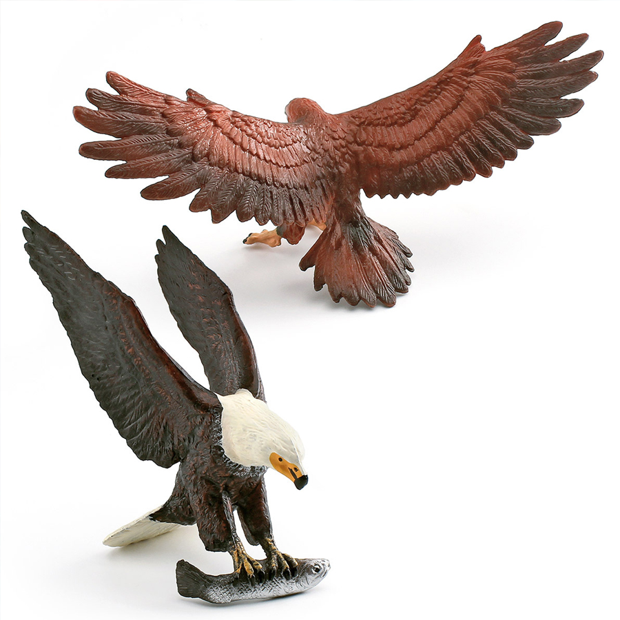 Realistic Wildlife Animal Bird – Kids Education Picture Bewertung und Preis