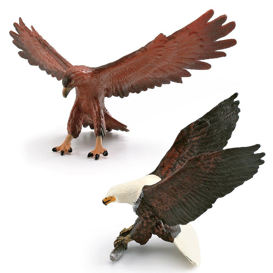 Realistic Wildlife Animal Bird – Kids Education Picture Bewertung und Preis