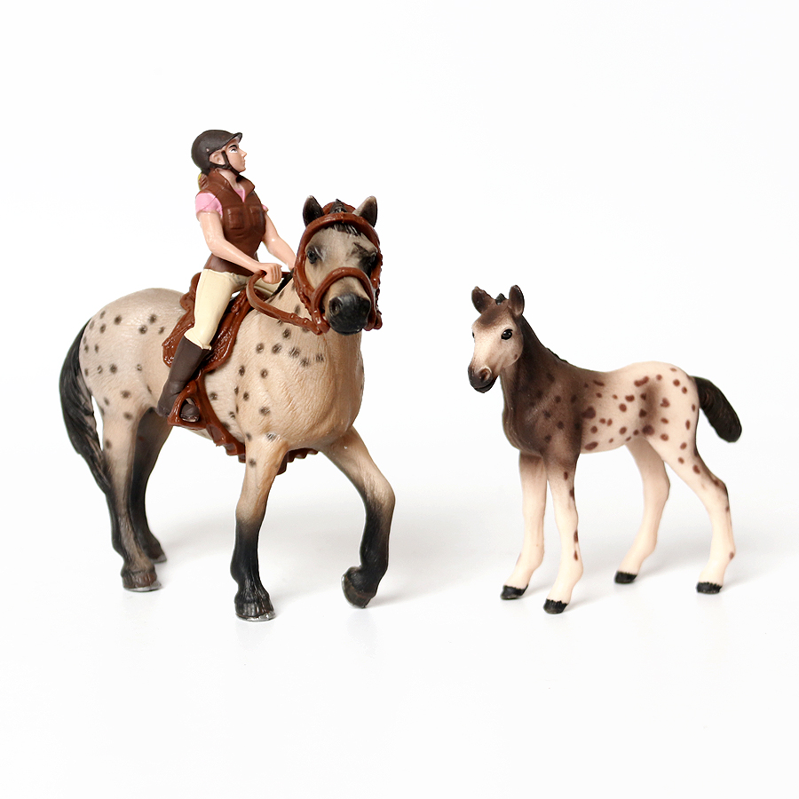 Realistic Trakehner Knabstrupp – Kids Education Picture Bewertung und Preis