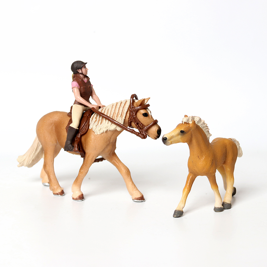 Realistic Trakehner Knabstrupp – Kids Education Picture Bewertung und Preis