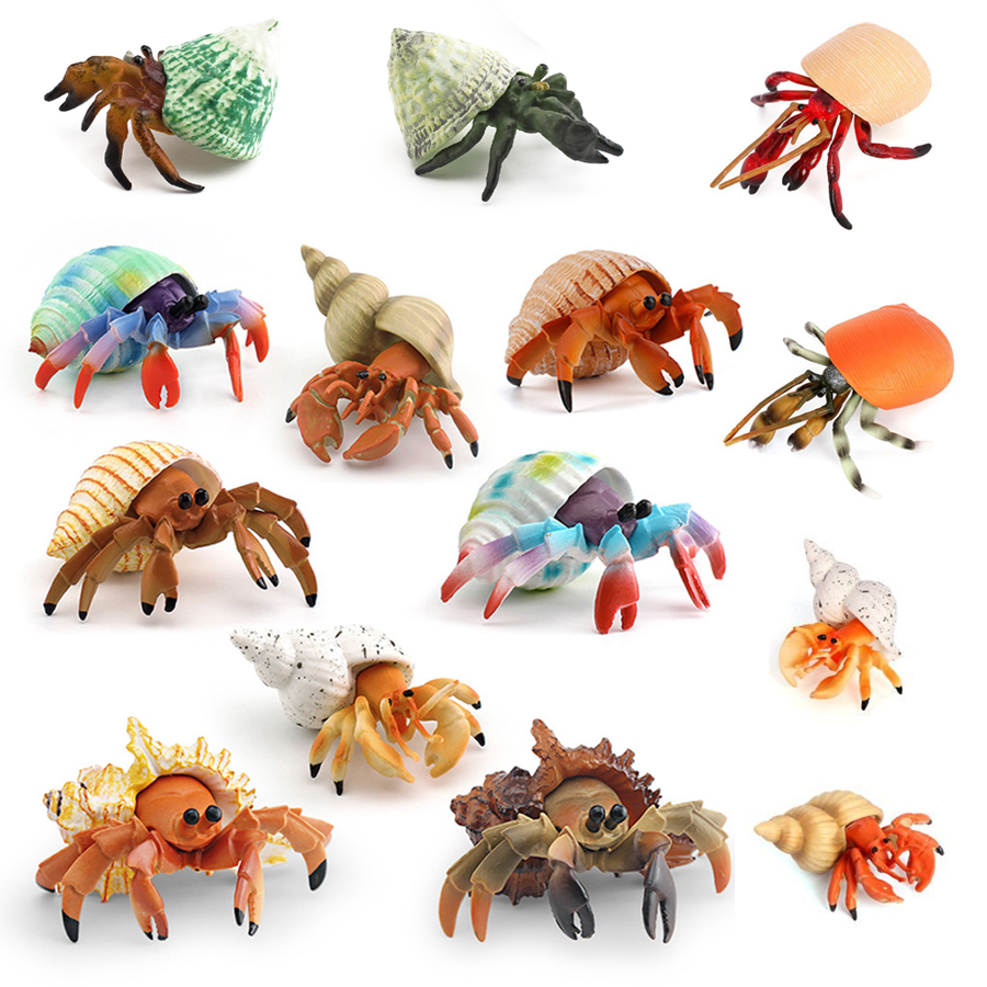 Realistic Hermit Crab Figurine – Kids Education Picture Bewertung und Preis
