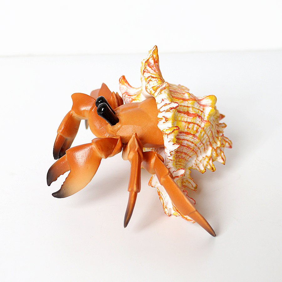 Realistic Hermit Crab Figurine – Kids Education Picture Bewertung und Preis