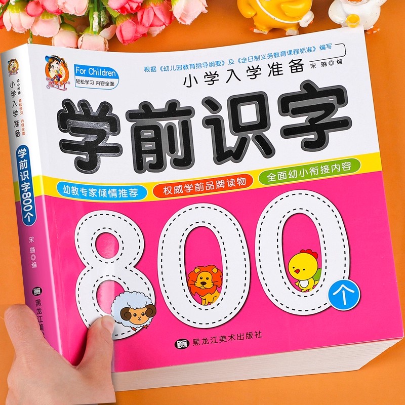 Preschool Literacy: 800 Chines – Kids Education Picture Bewertung und Preis