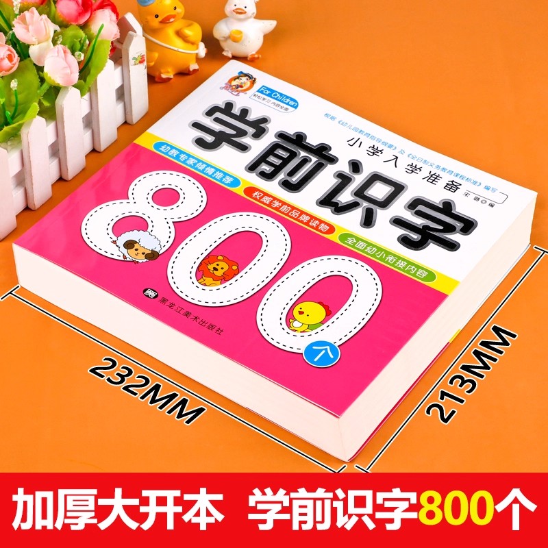 Preschool Literacy: 800 Chines – Kids Education Picture Bewertung und Preis