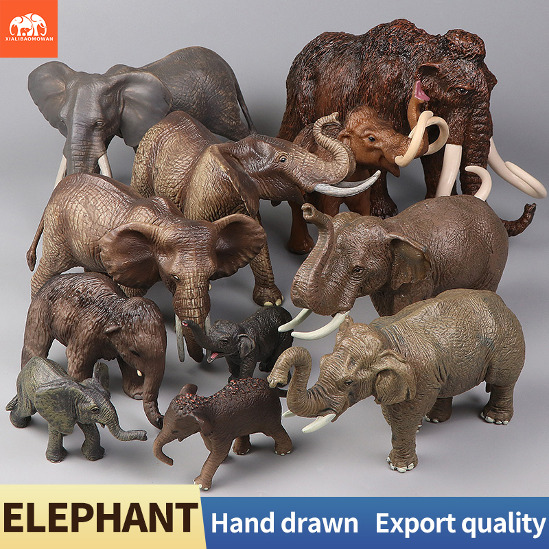 African Wild Animals Big Mammo – Kids Education Picture Bewertung und Preis