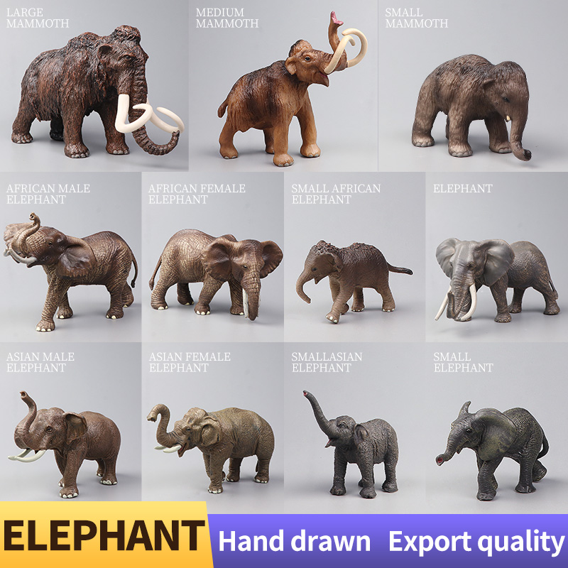 African Wild Animals Big Mammo – Kids Education Picture Bewertung und Preis