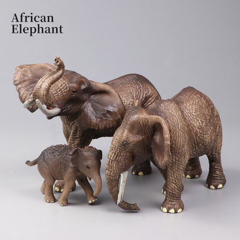 African Wild Animals Big Mammo – Kids Education Picture Bewertung und Preis
