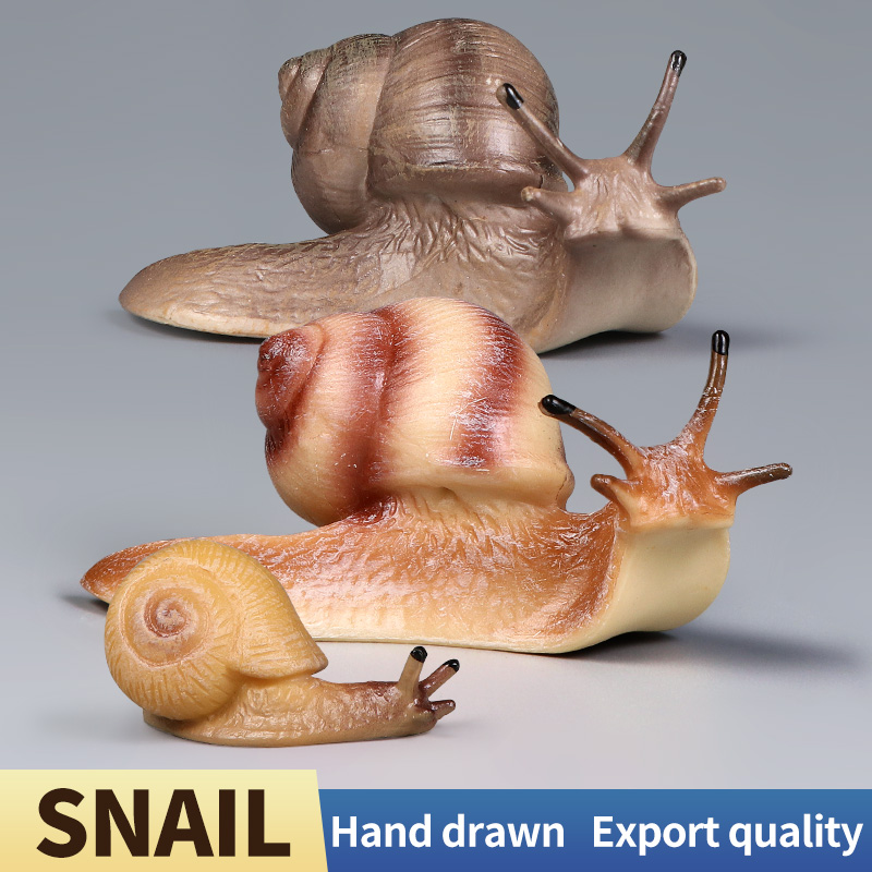 Educational Snail Action Figur – Kids Education Picture Bewertung und Preis