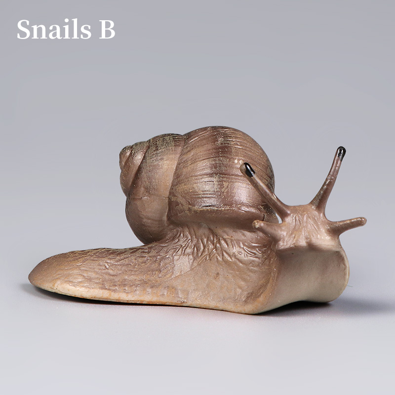 Educational Snail Action Figur – Kids Education Picture Bewertung und Preis