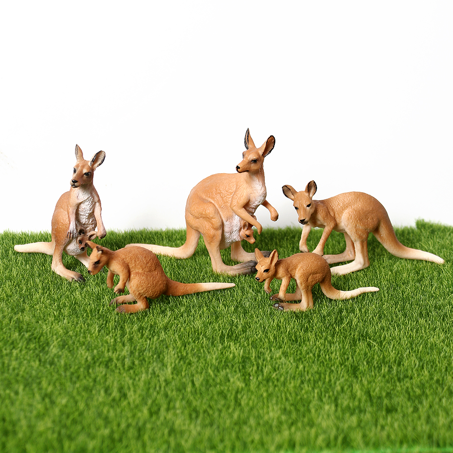 Realistic Australian Wild Anim – Kangaroo Kids Education Bewertung und Preis