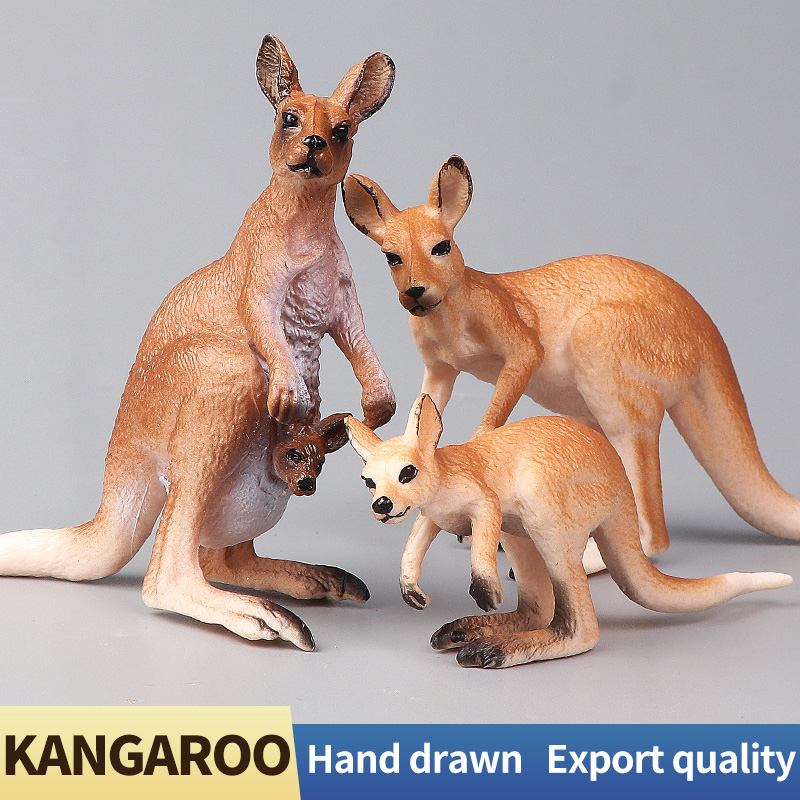 New Wildlife World Kangaroo Se – Kangaroo Kids Education Bewertung und Preis