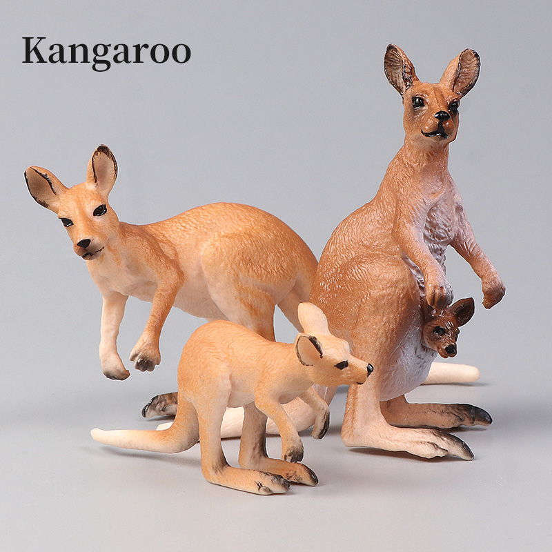New Wildlife World Kangaroo Se – Kangaroo Kids Education Bewertung und Preis