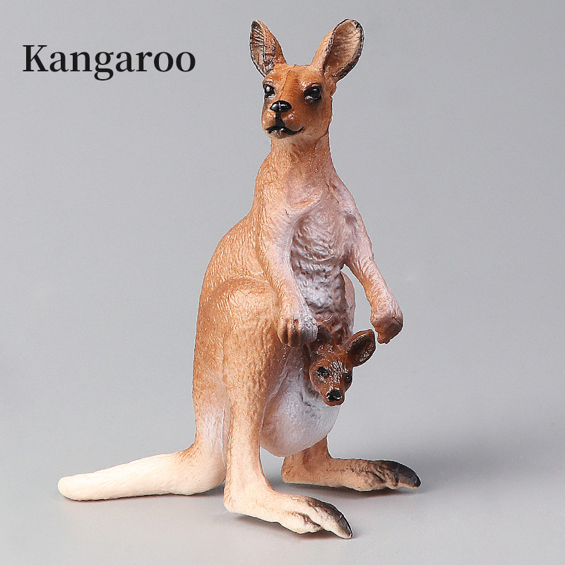 New Wildlife World Kangaroo Se – Kangaroo Kids Education Bewertung und Preis
