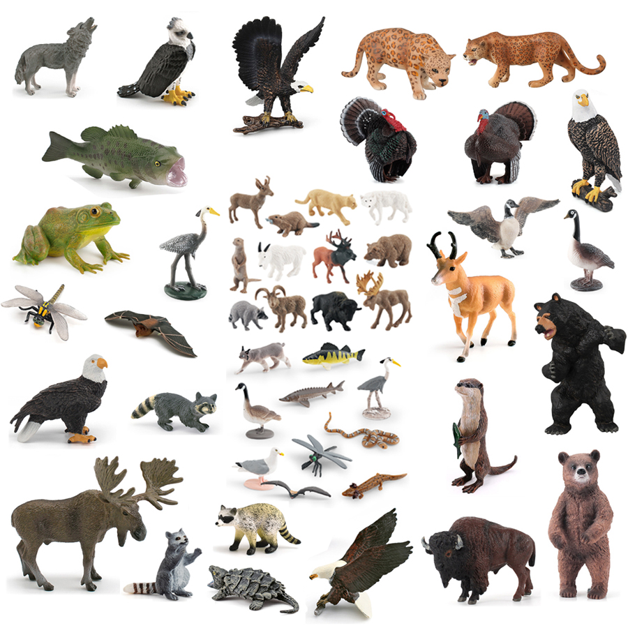 Realistic North American Anima – Kids Education Picture Bewertung und Preis