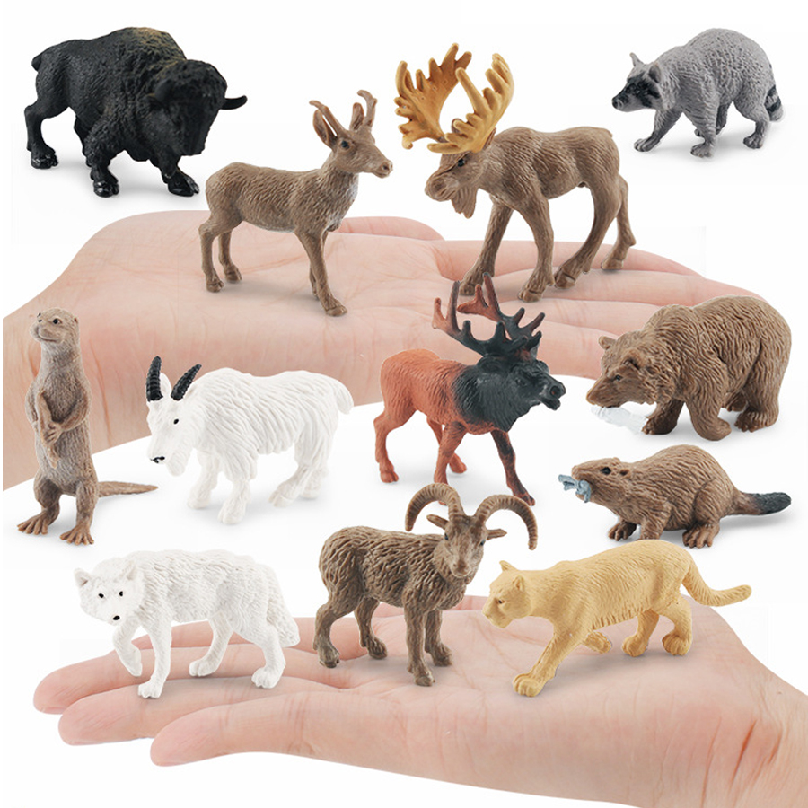 Realistic North American Anima – Kids Education Picture Bewertung und Preis