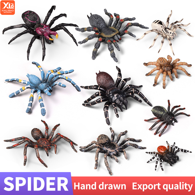 Educational Insect Spider Toys – Kids Education Learn Tv Bewertung und Preis