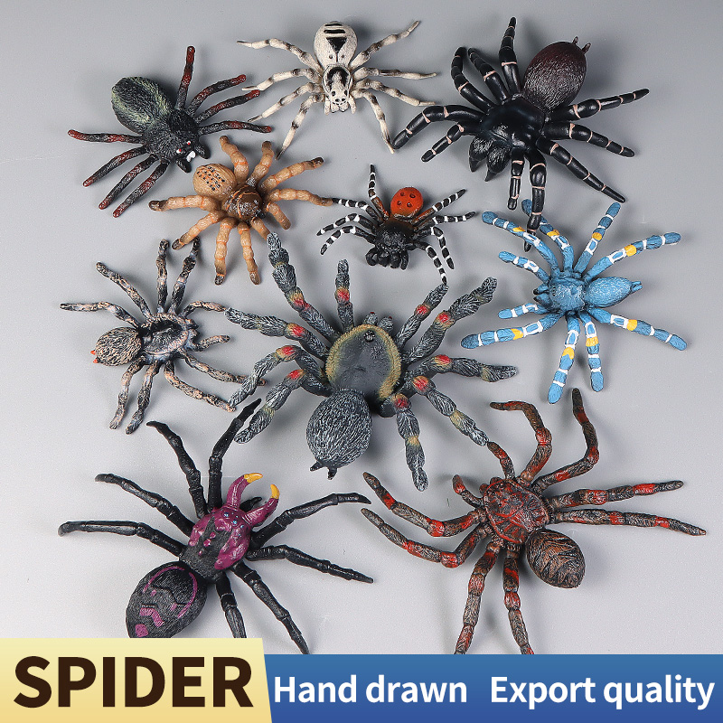 Educational Insect Spider Toys – Kids Education Learn Tv Bewertung und Preis