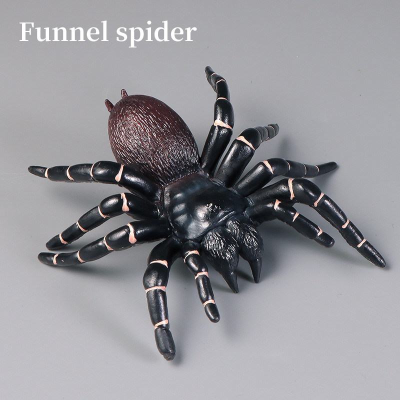 Educational Insect Spider Toys – Kids Education Learn Tv Bewertung und Preis