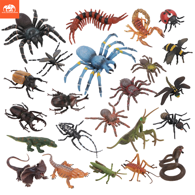 Educational Simulation Insect  – Kids Education Picture Bewertung und Preis