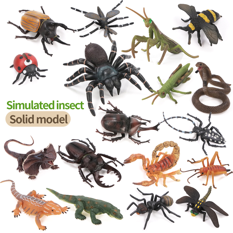 Educational Simulation Insect  – Kids Education Picture Bewertung und Preis