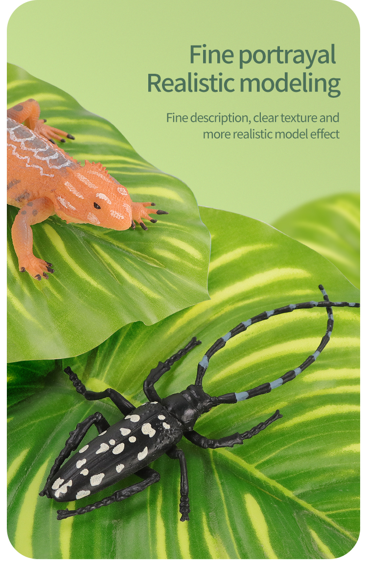 Educational Simulation Insect  – Kids Education Picture Bewertung und Preis