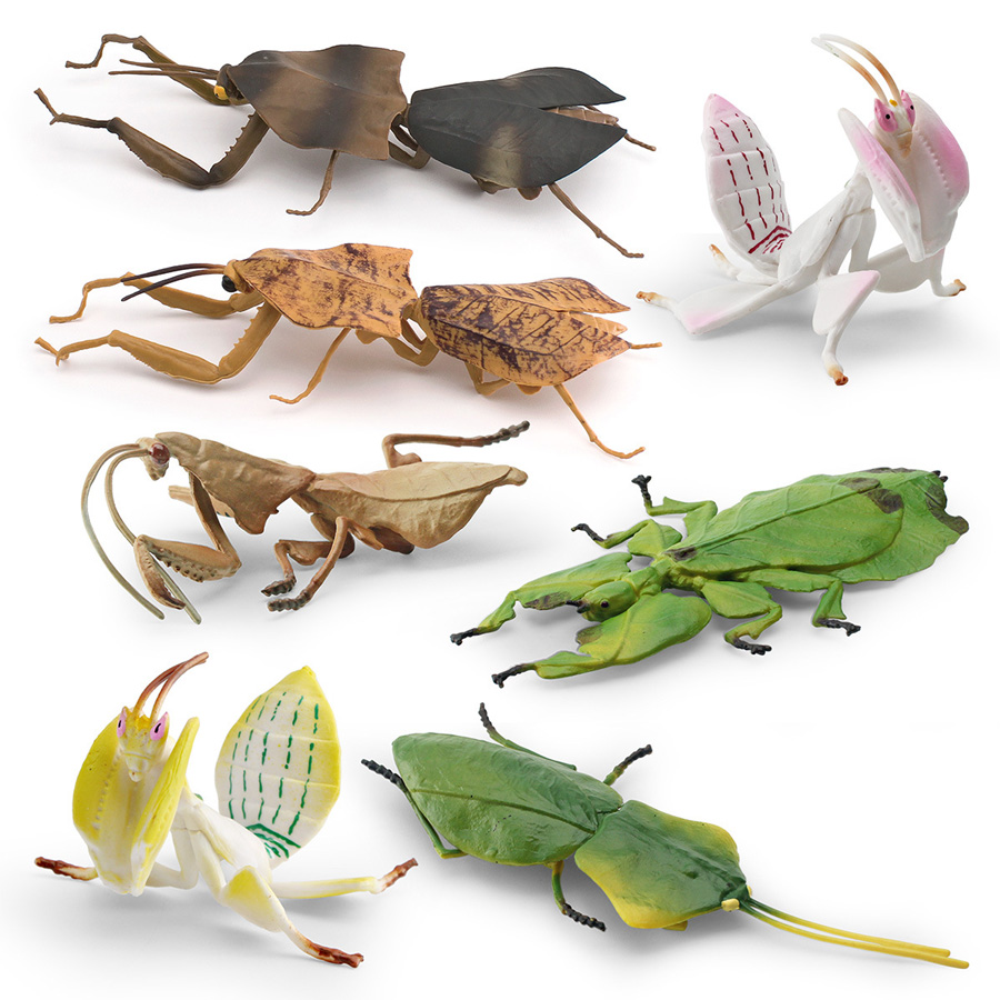 Realistic Orchid Mantis Dead L – Kids Education Picture Bewertung und Preis