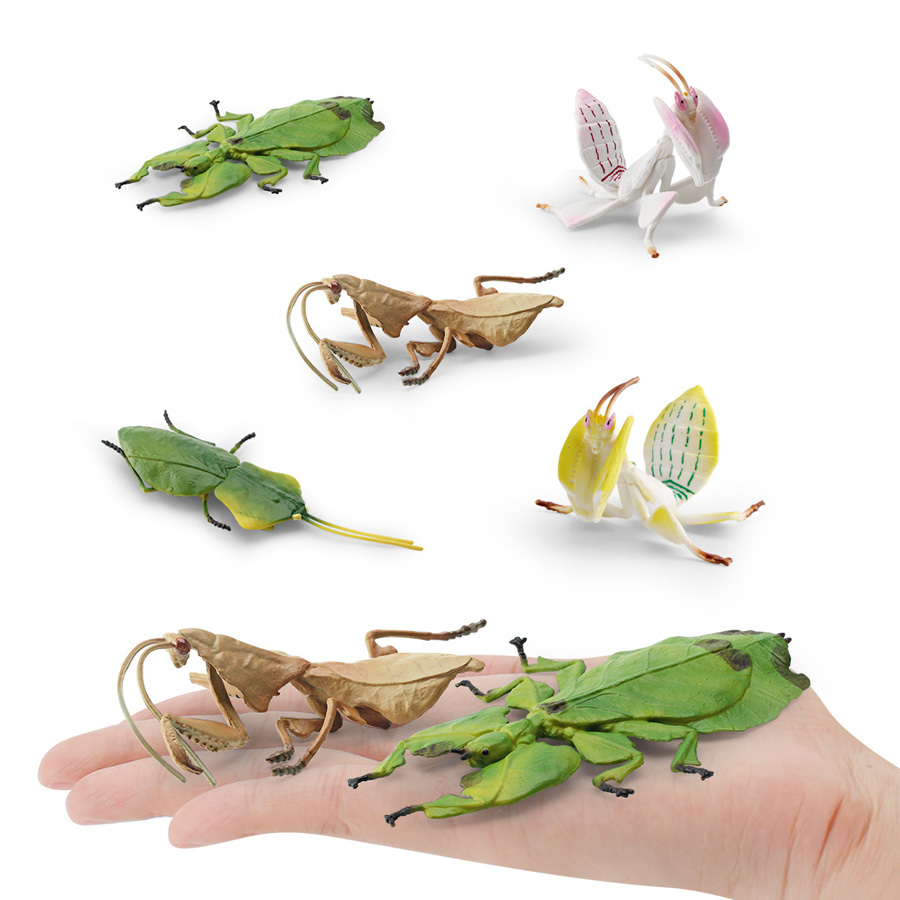 Realistic Orchid Mantis Dead L – Kids Education Picture Bewertung und Preis