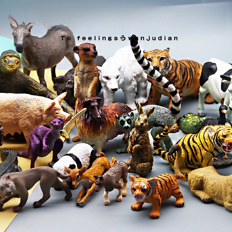 Educational Realistic Animal M – Kangaroo Kids Education Bewertung und Preis